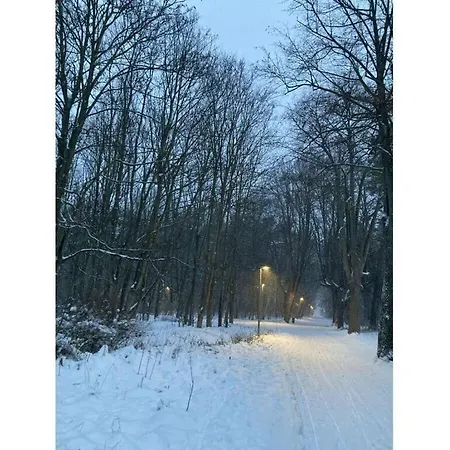 Holiday home Am Stadtwald 3 *